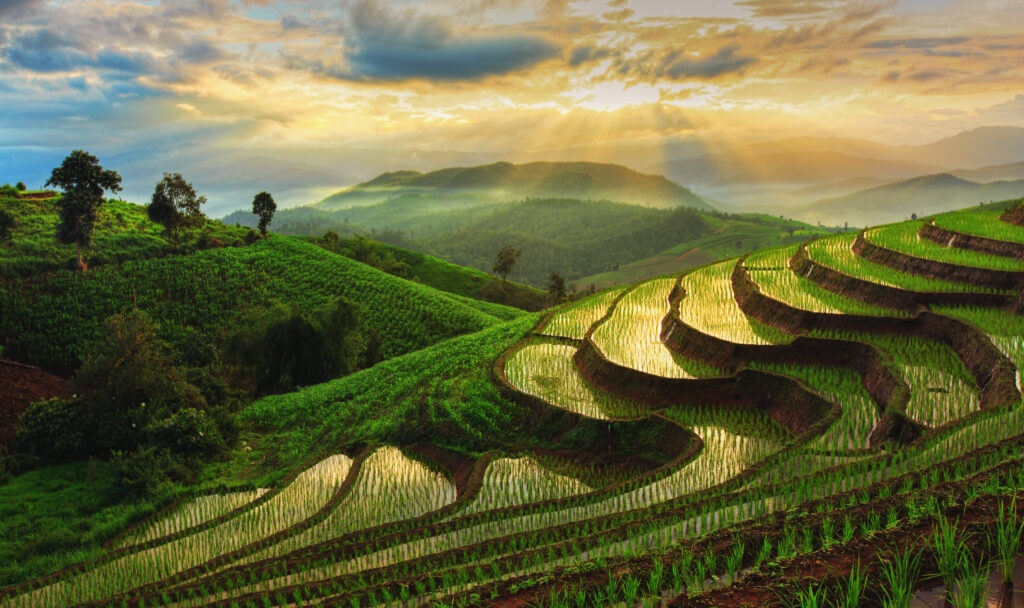 verhuizen naar Thailand