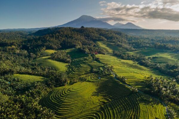 Verhuizen naar Indonesie Bali