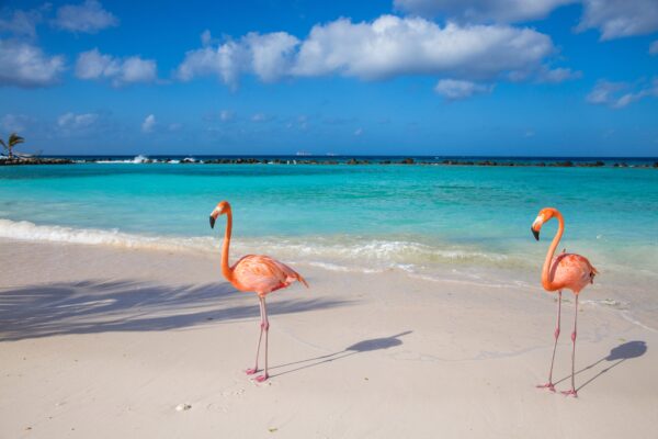 verhuizen naar Aruba Oranjestad